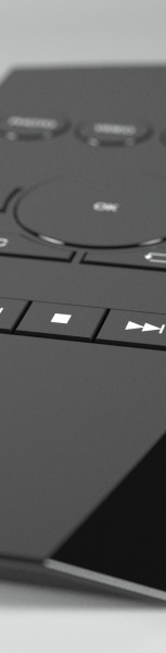 remotef13