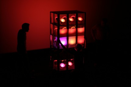 _mg_3373 _mg_3373